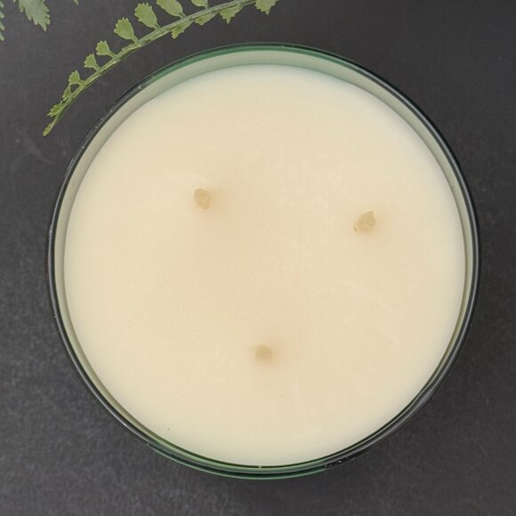 BBW Island Margarita  White Barn Bath & Body Works 3 Wick Candle - Picture 7 of 10